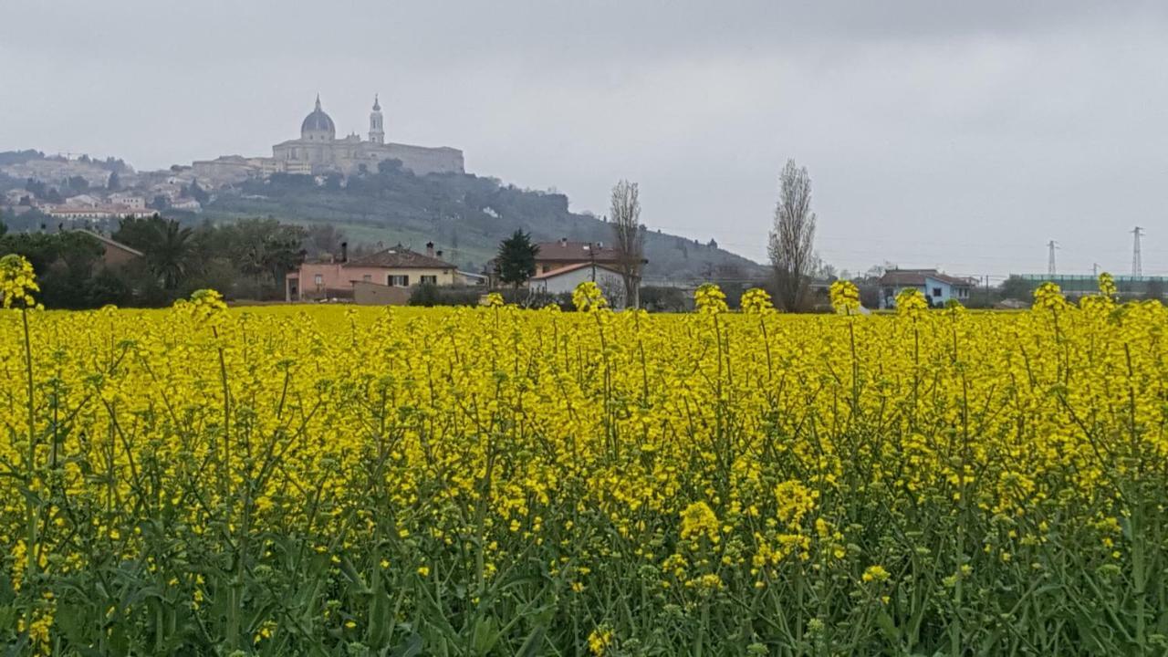 Villetta Del Conero Porto Recanati Exteriör bild